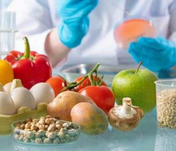 Food-Safety-in-Africa-An-Important-Deliverable-for-AUDA-NEPAD